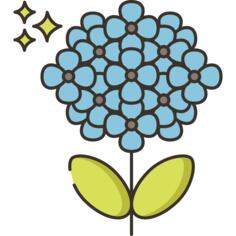 Hydrangea