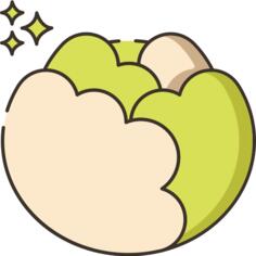 Cabbage