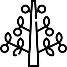 Money tree