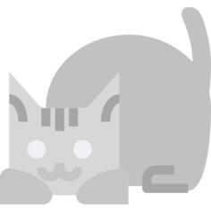 猫