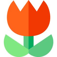 宏