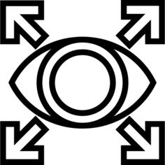 Vision