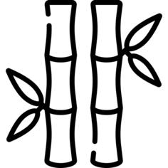 Bamboo