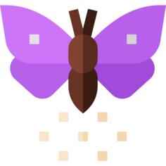 飞蛾