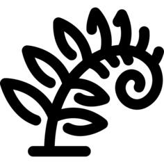 Fern