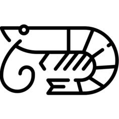虾