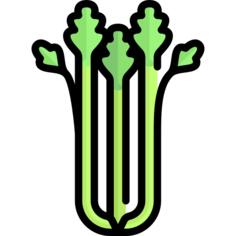 芹菜