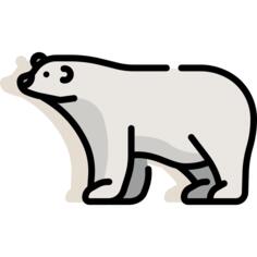 Polar bear