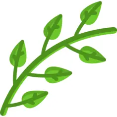 Branch