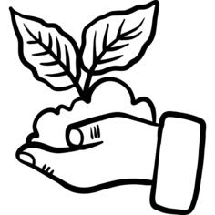发芽