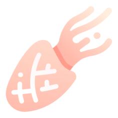 乌贼