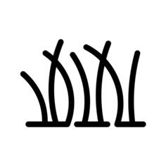 Grass