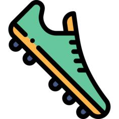 Shoe