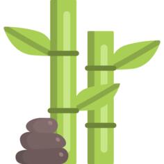 Bamboo