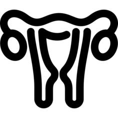 子宫