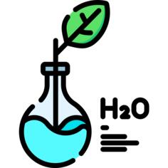 H2O