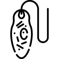 眼虫