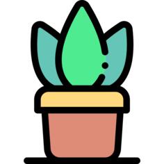 盆栽