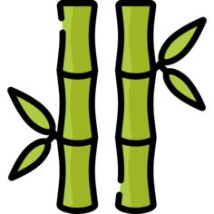 Bamboo