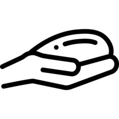 手