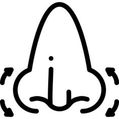 鼻子