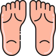 Feet
