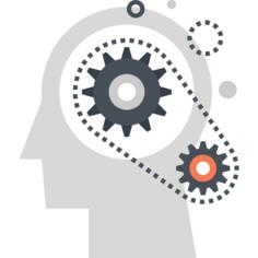 Brain