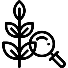 Herb