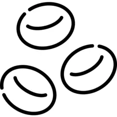 红细胞