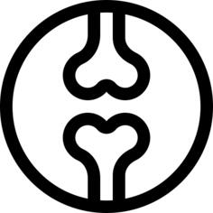 骨科