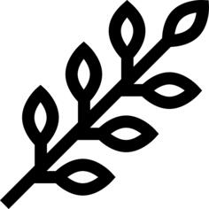 草本植物