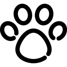 爪子