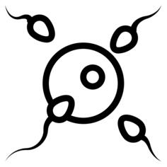 Insemination