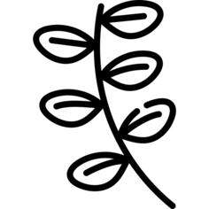 Basil