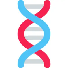 脱氧核糖核酸