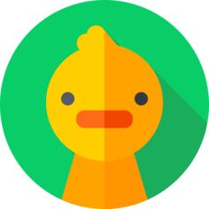 鸡