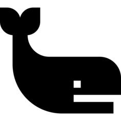 抹香鲸
