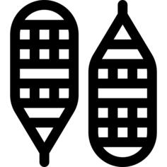 Snowshoes
