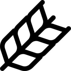 小麦