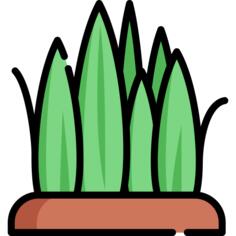 草