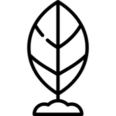 Growth