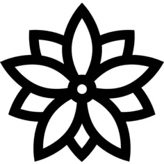 Poinsettia