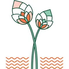 莲花