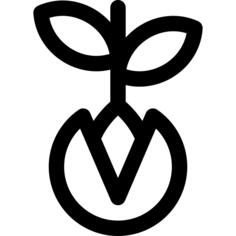 Germination