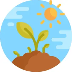 Sprout