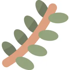 Branch