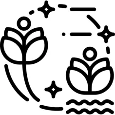 莲花