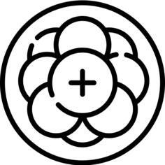 中子