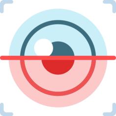 Eye scan