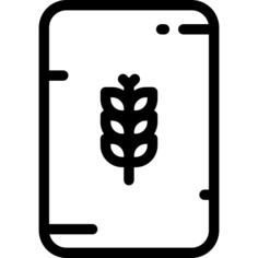 Wheat